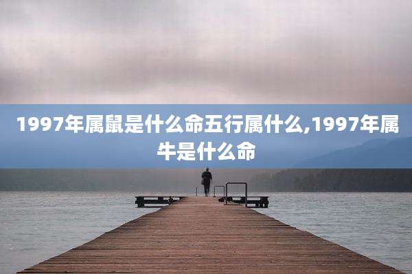 1997年属鼠是什么命五行属什么,1997年属牛是什么命