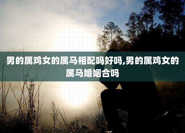 男的属鸡女的属马相配吗好吗,男的属鸡女的属马婚姻合吗