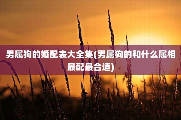 男属狗的婚配表大全集(男属狗的和什么属相最配最合适)