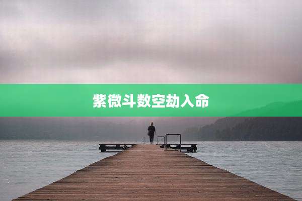 紫微斗数空劫入命