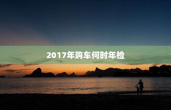 2017年购车何时年检