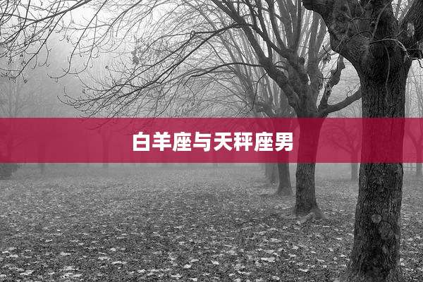 白羊座与天秤座男
