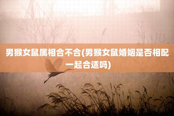 男猴女鼠属相合不合(男猴女鼠婚姻是否相配 一起合适吗)