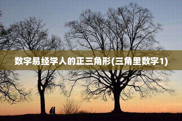 数字易经学人的正三角形(三角里数字1)