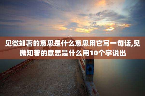 见微知著的意思是什么意思用它写一句话,见微知著的意思是什么用10个字说出