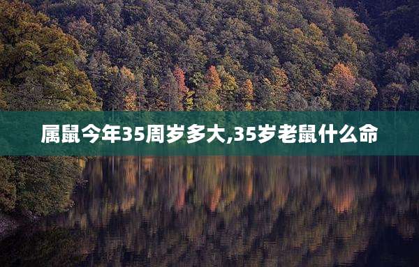 属鼠今年35周岁多大,35岁老鼠什么命