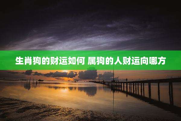 生肖狗的财运如何 属狗的人财运向哪方