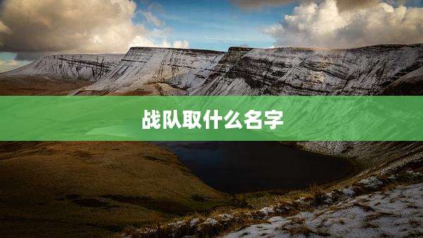 战队取什么名字