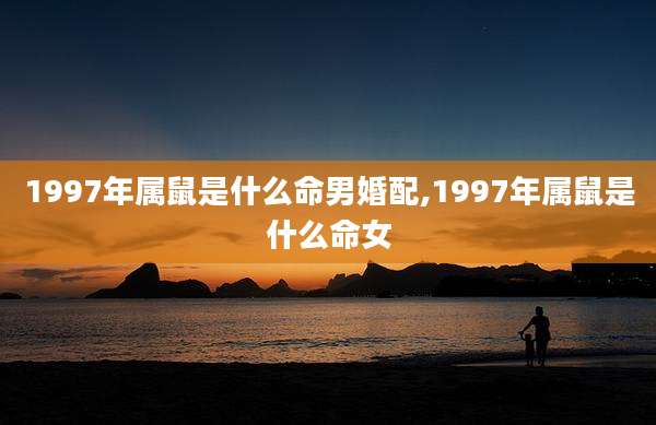 1997年属鼠是什么命男婚配,1997年属鼠是什么命女