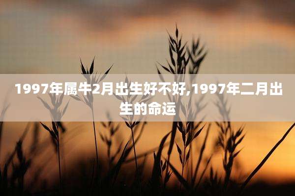 1997年属牛2月出生好不好,1997年二月出生的命运