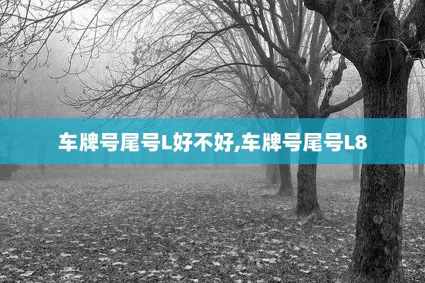 车牌号尾号L好不好,车牌号尾号L8
