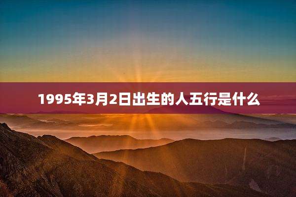1995年3月2日出生的人五行是什么