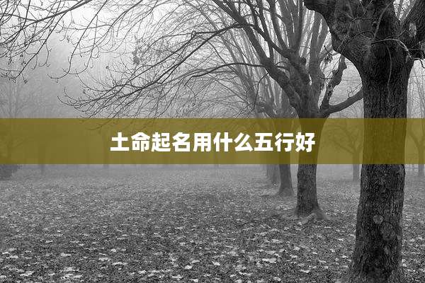 土命起名用什么五行好