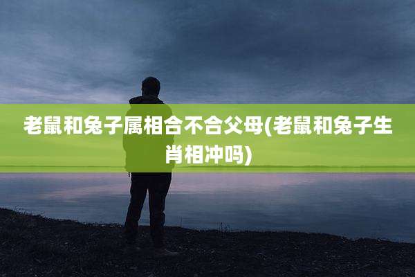 老鼠和兔子属相合不合父母(老鼠和兔子生肖相冲吗)