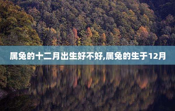 属兔的十二月出生好不好,属兔的生于12月