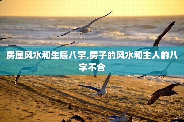 房屋风水和生辰八字,房子的风水和主人的八字不合