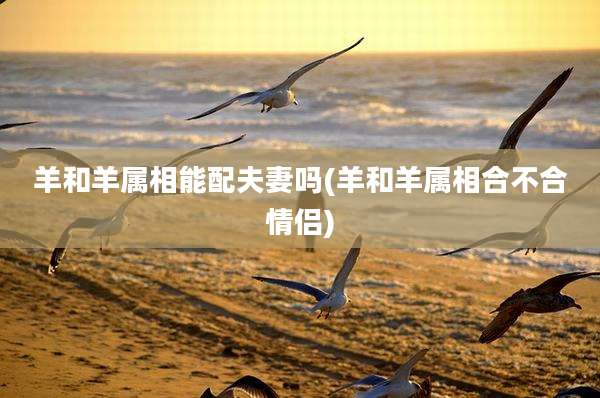羊和羊属相能配夫妻吗(羊和羊属相合不合情侣)