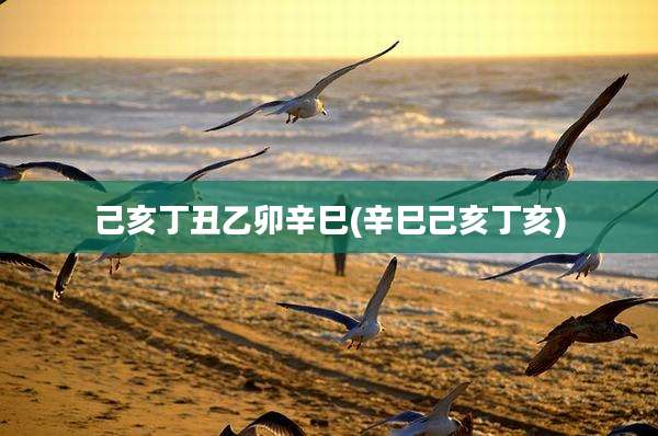 己亥丁丑乙卯辛巳(辛巳己亥丁亥)