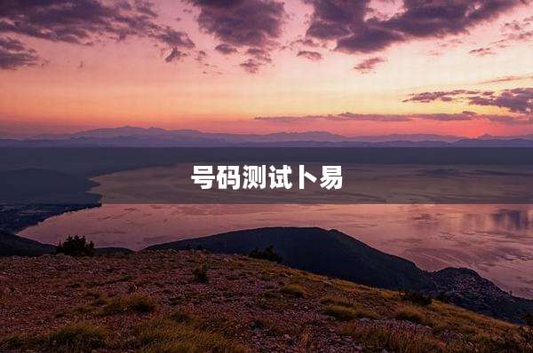 号码测试卜易