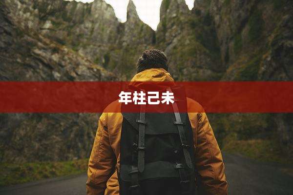 年柱己未