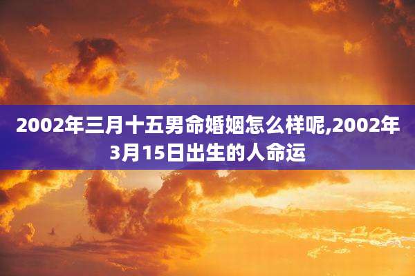2002年三月十五男命婚姻怎么样呢,2002年3月15日出生的人命运