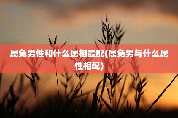 属兔男性和什么属相最配(属兔男与什么属性相配)