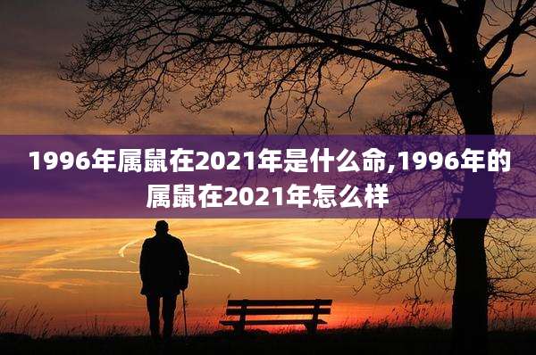 1996年属鼠在2021年是什么命,1996年的属鼠在2021年怎么样