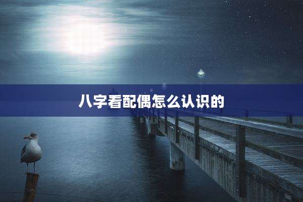八字看配偶怎么认识的