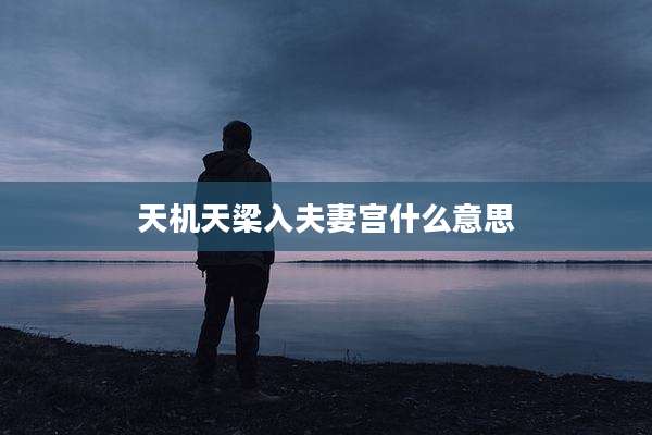 天机天梁入夫妻宫什么意思