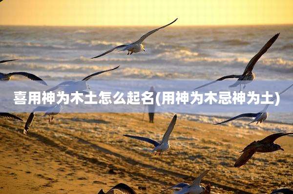 喜用神为木土怎么起名(用神为木忌神为土)