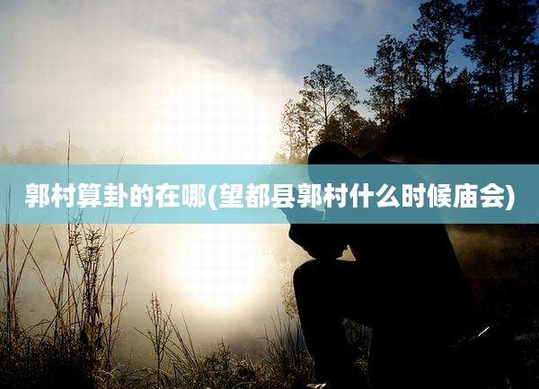 郭村算卦的在哪(望都县郭村什么时候庙会)