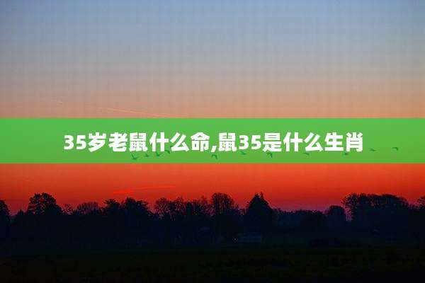 35岁老鼠什么命,鼠35是什么生肖