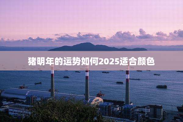 猪明年的运势如何2025适合颜色