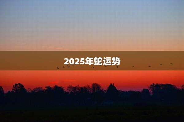2025年蛇运势
