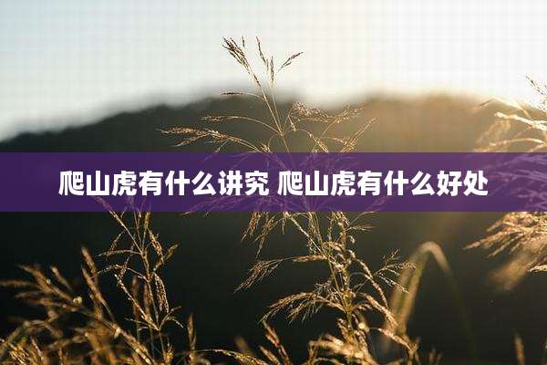 爬山虎有什么讲究 爬山虎有什么好处