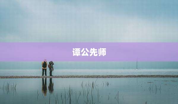 谭公先师