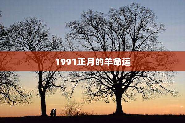 1991正月的羊命运