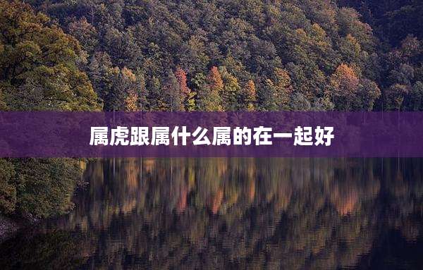 属虎跟属什么属的在一起好