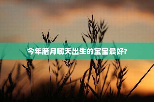 今年腊月哪天出生的宝宝最好?
