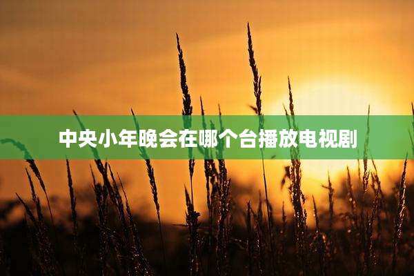 中央小年晚会在哪个台播放电视剧