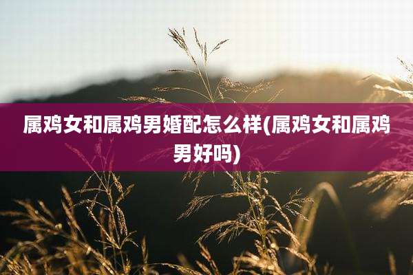属鸡女和属鸡男婚配怎么样(属鸡女和属鸡男好吗)