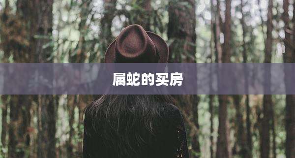 属蛇的买房