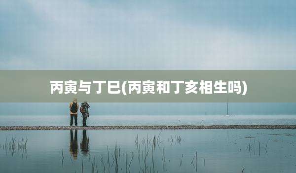 丙寅与丁巳(丙寅和丁亥相生吗)