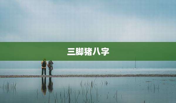三脚猪八字