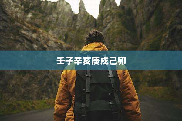 壬子辛亥庚戌己卯
