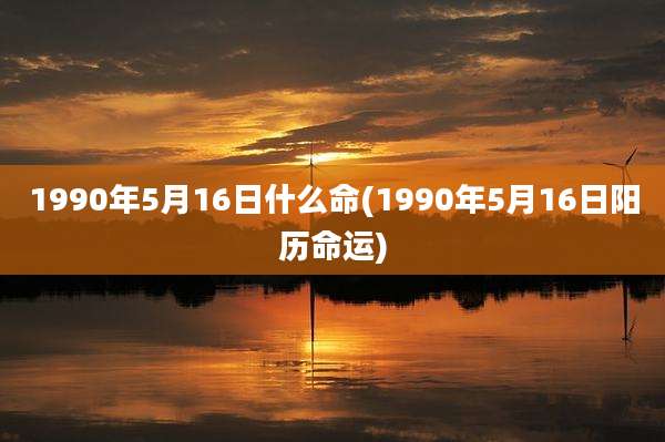 1990年5月16日什么命(1990年5月16日阳历命运)