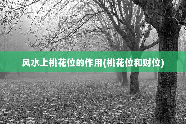 风水上桃花位的作用(桃花位和财位)