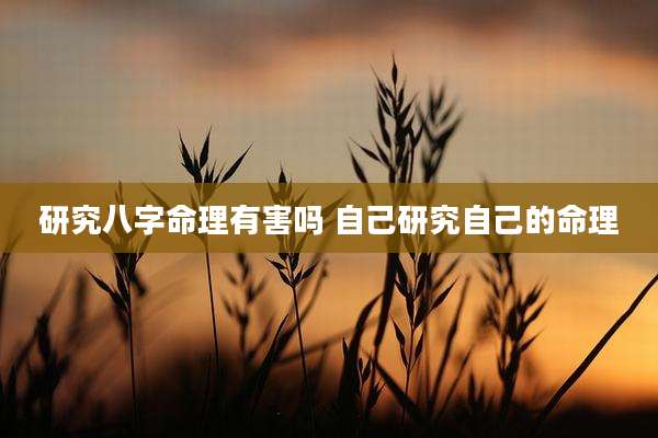 研究八字命理有害吗 自己研究自己的命理