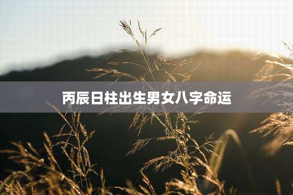 丙辰日柱出生男女八字命运