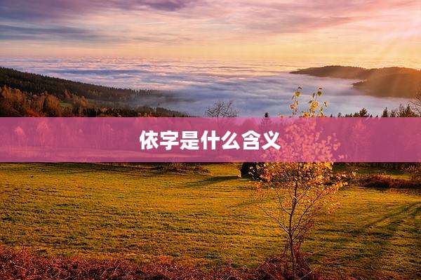依字是什么含义